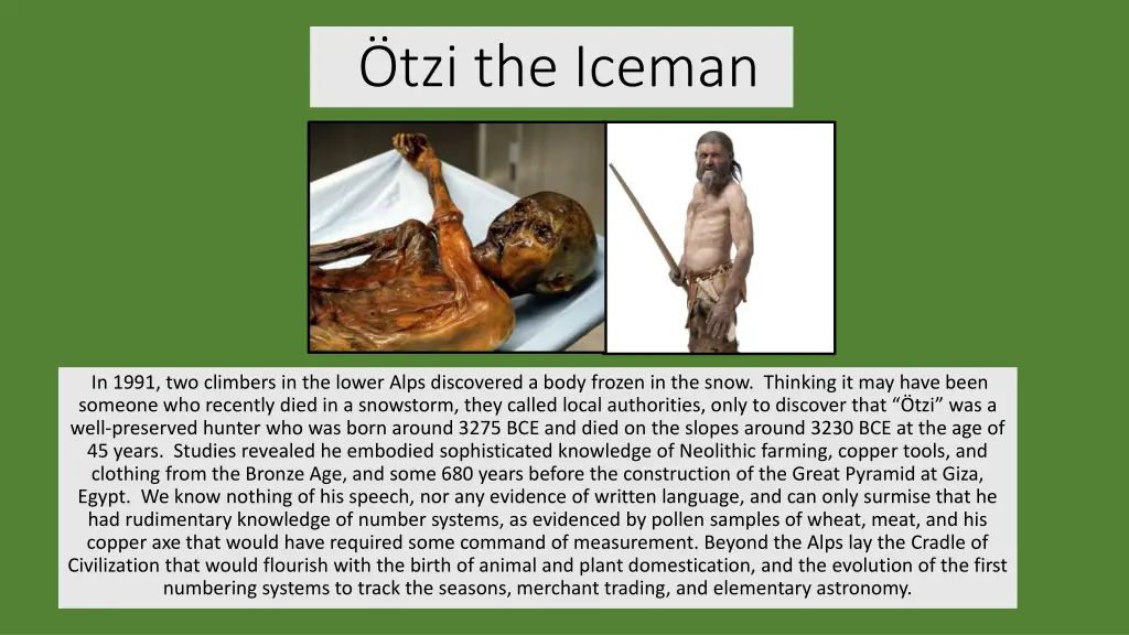 tzi the iceman