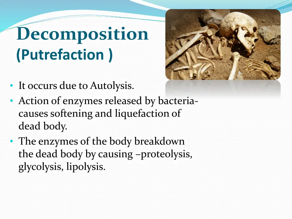 decomposition putrefaction