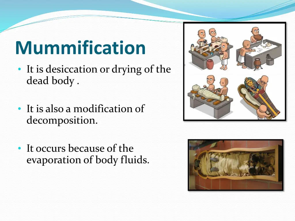 mummification it is desiccation or drying