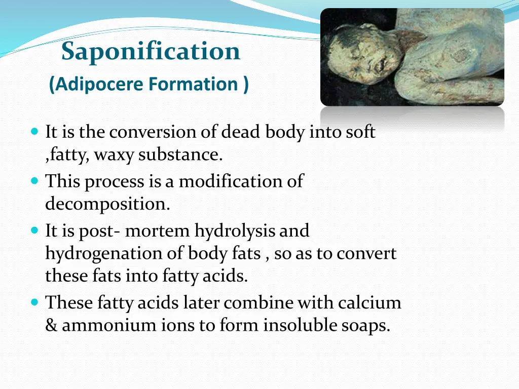 saponification adipocere formation