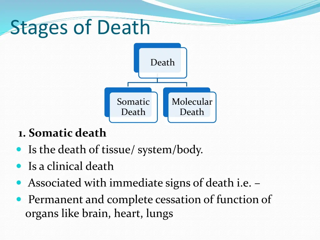 stages of death