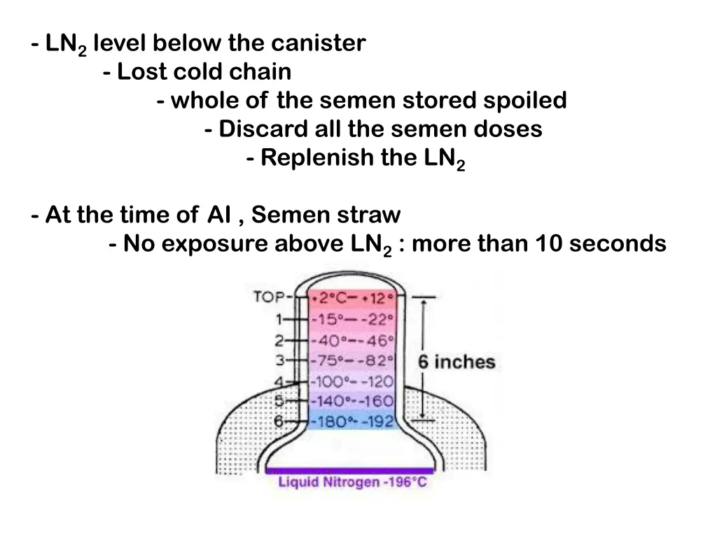 ln 2 level below the canister lost cold chain