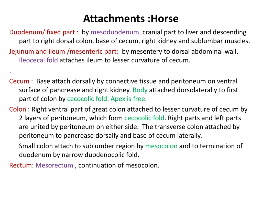 attachments horse