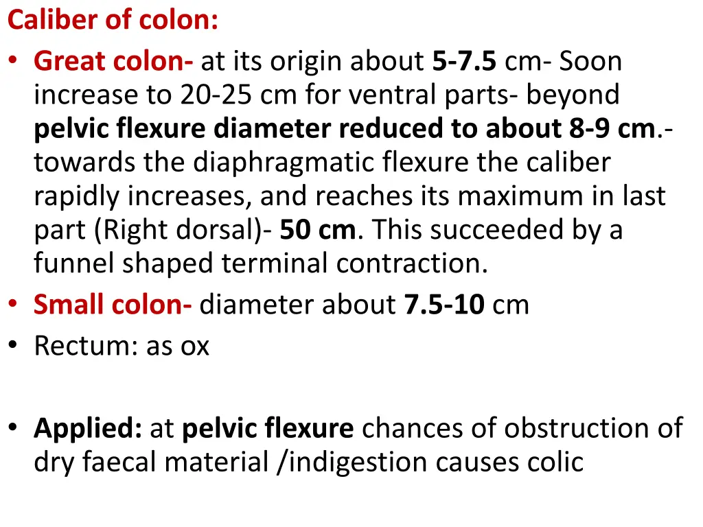 caliber of colon great colon at its origin about
