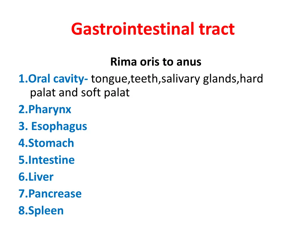 gastrointestinal tract