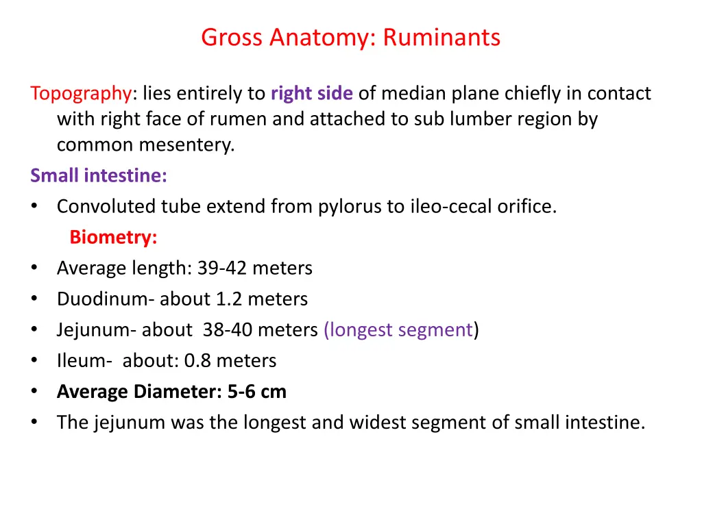 gross anatomy ruminants