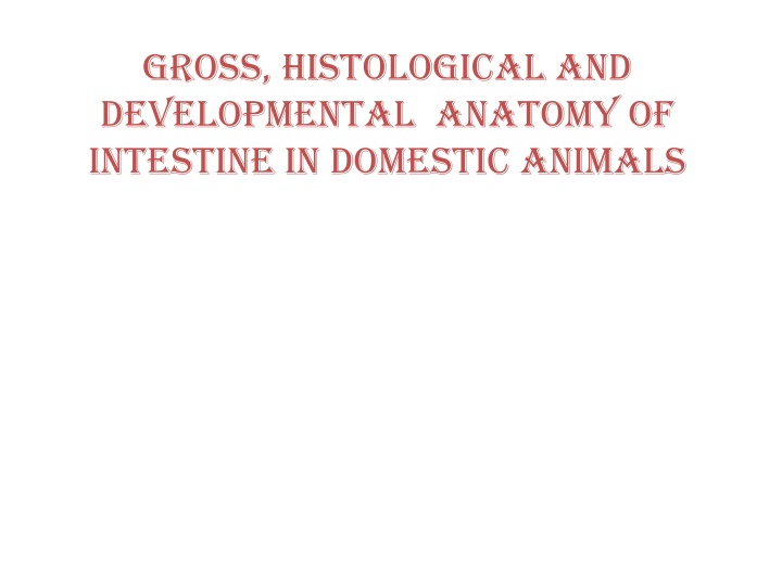 gross histological and developmental anatomy