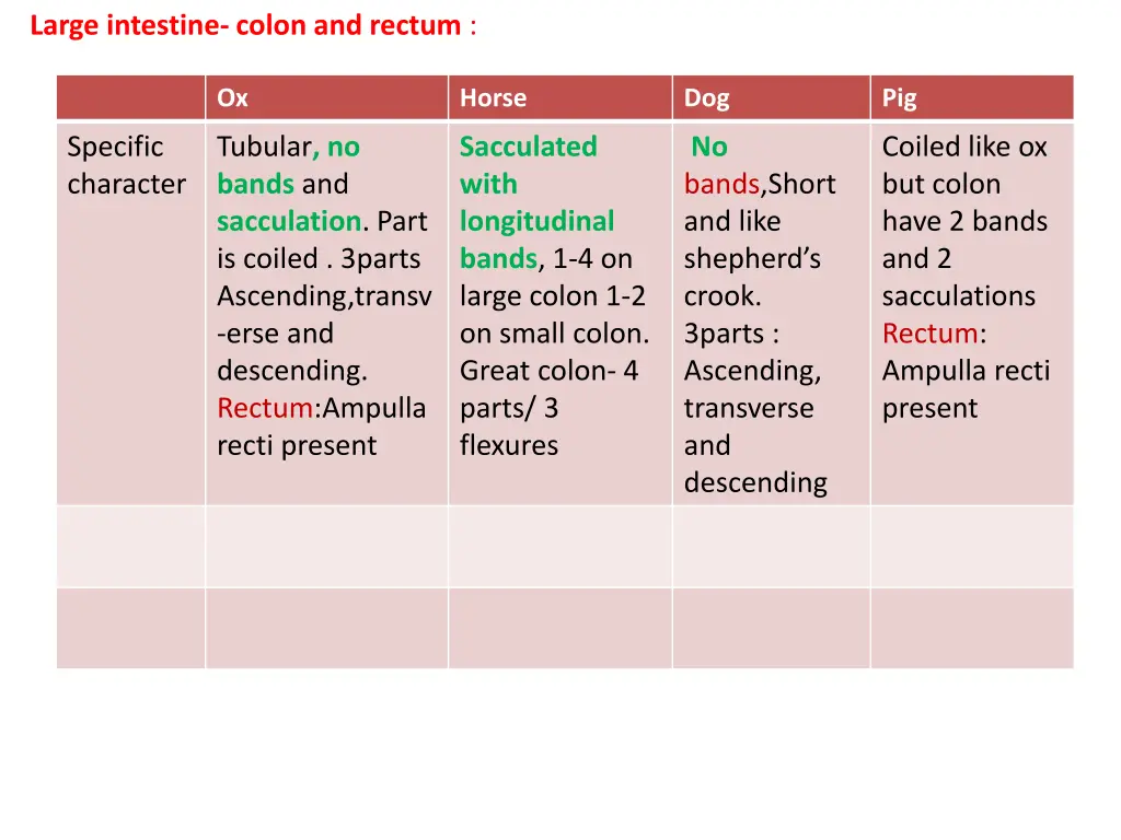 large intestine colon and rectum