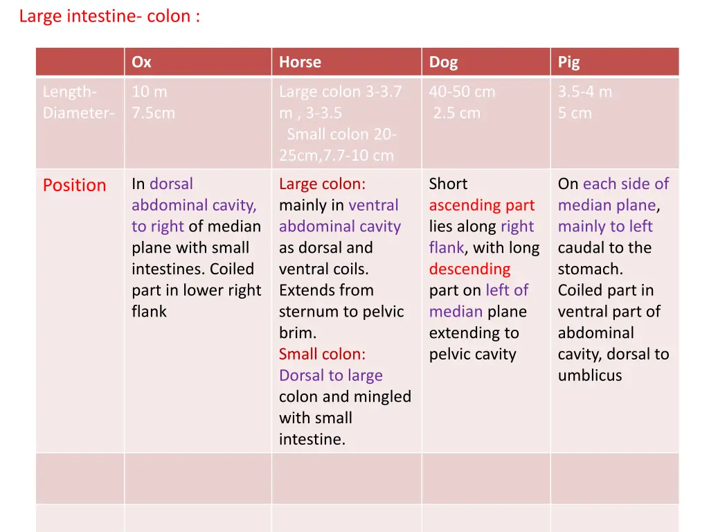 large intestine colon