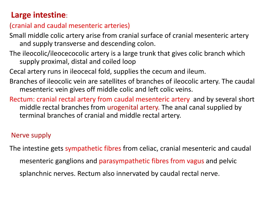 large intestine cranial and caudal mesenteric