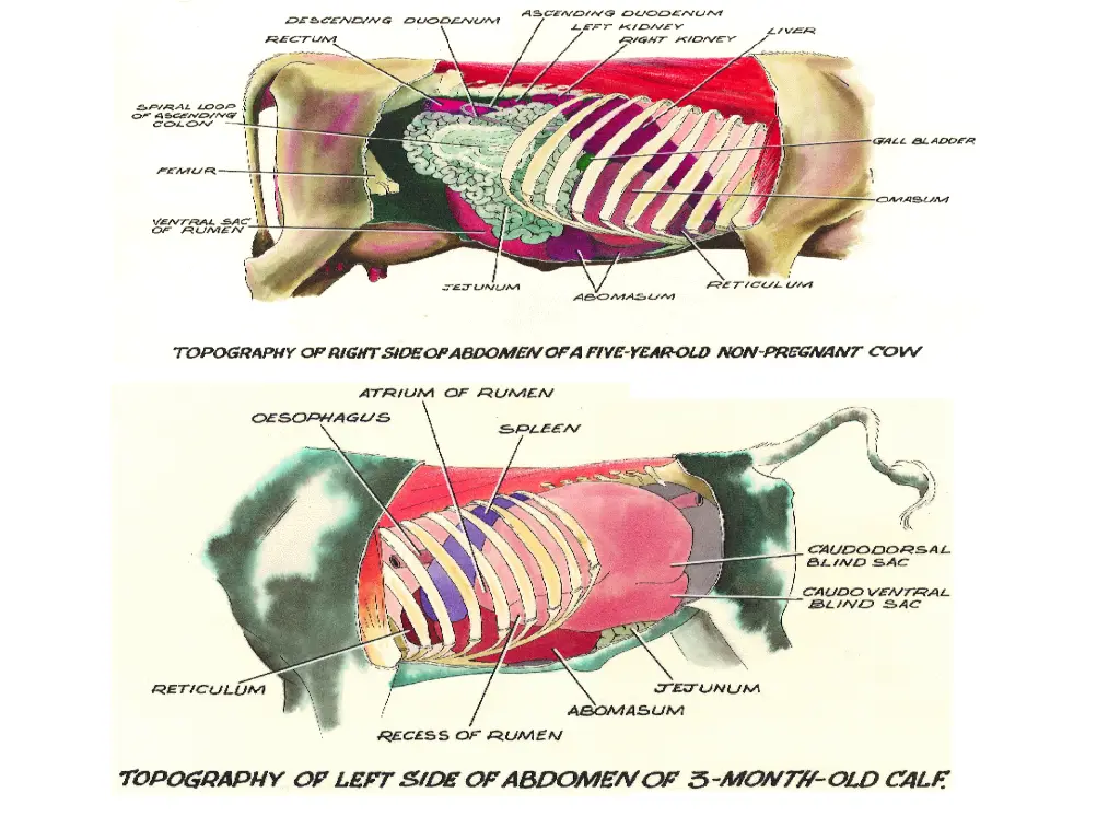 slide9