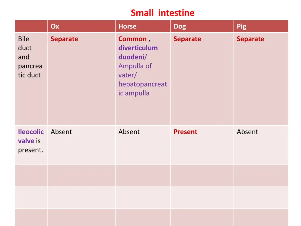 small intestine