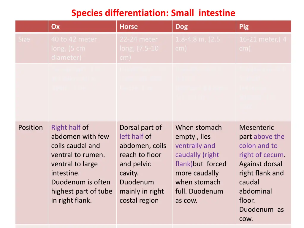 species differentiation small intestine