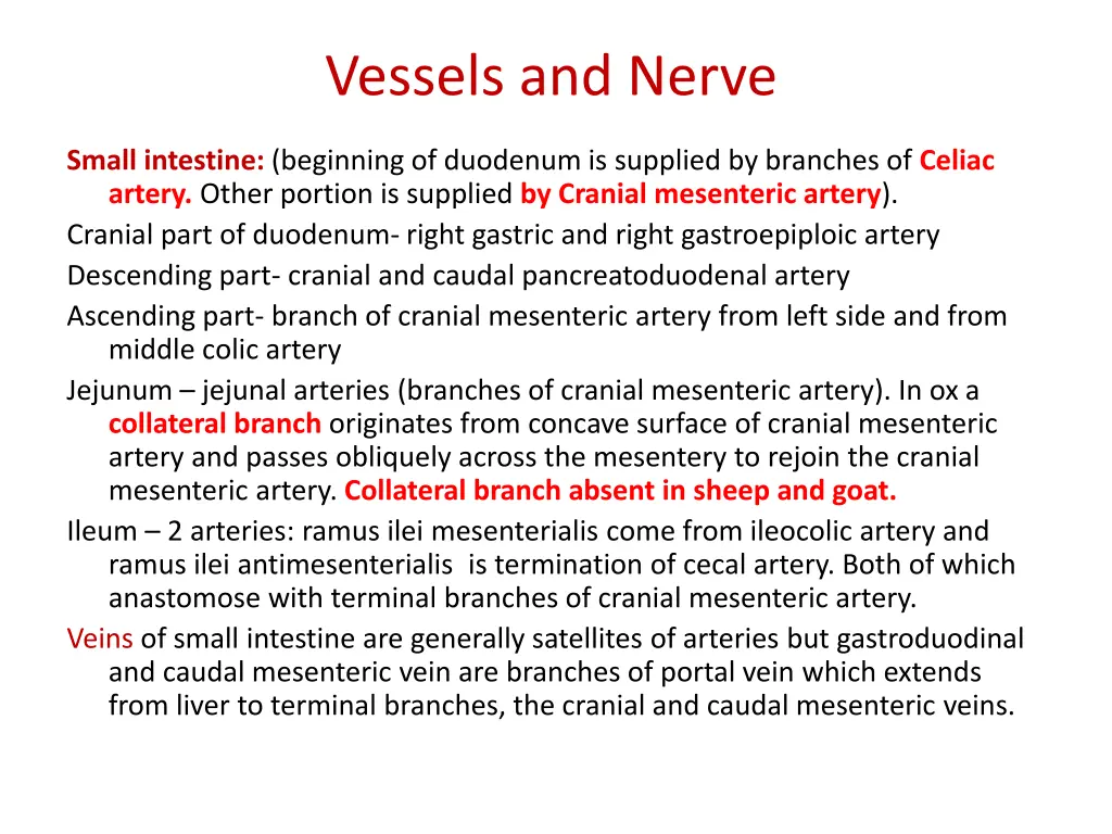 vessels and nerve