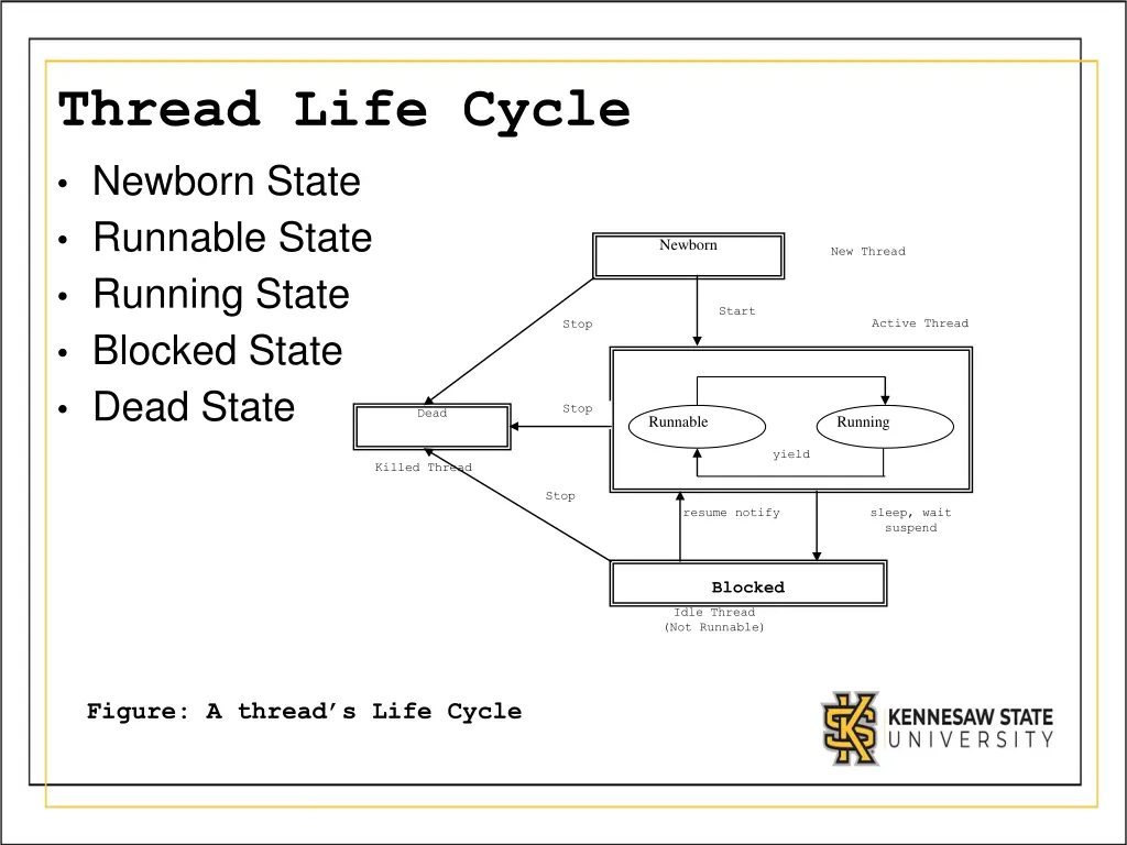 thread life cycle newborn state runnable state