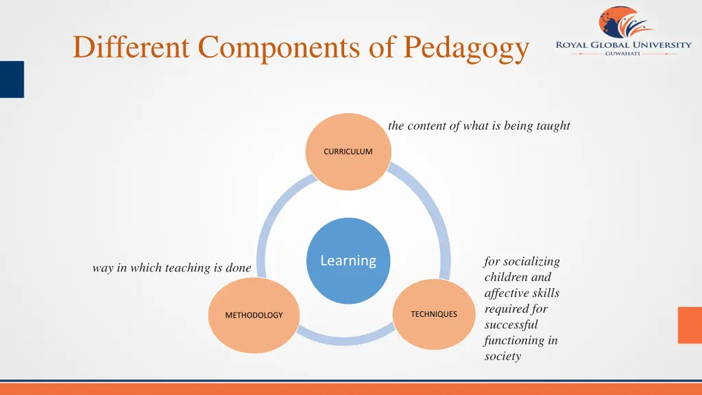 different components of pedagogy