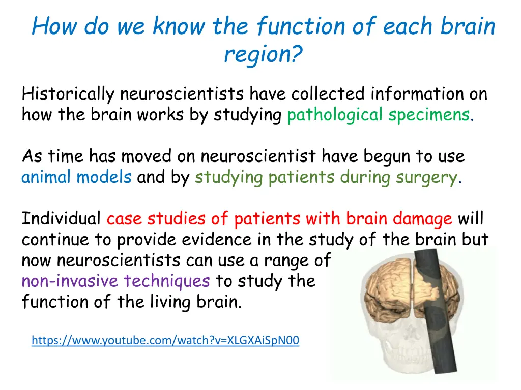 how do we know the function of each brain region