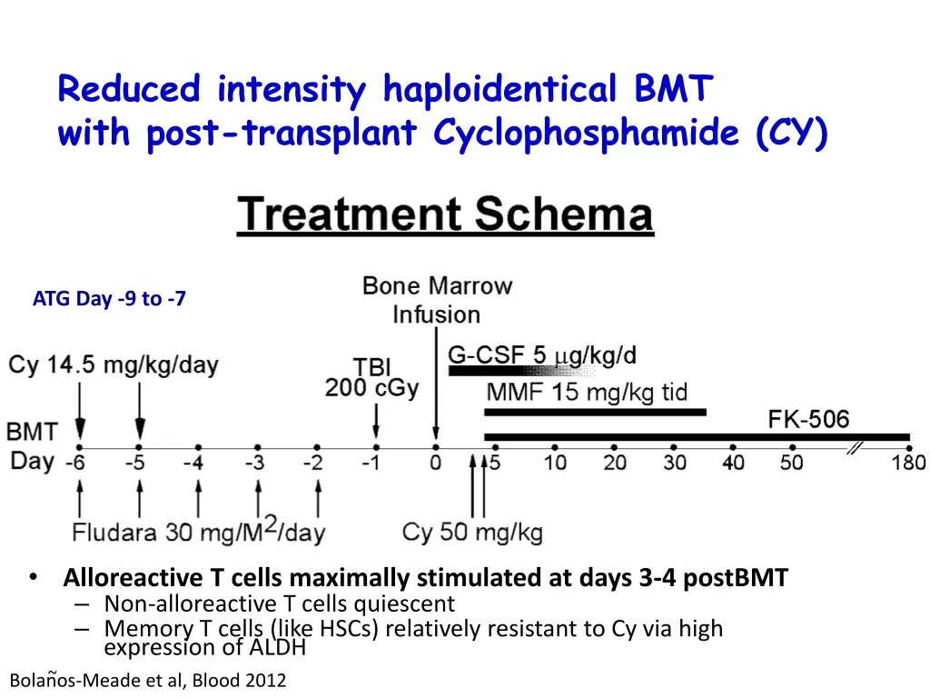 reduced intensity haploidentical bmt with post