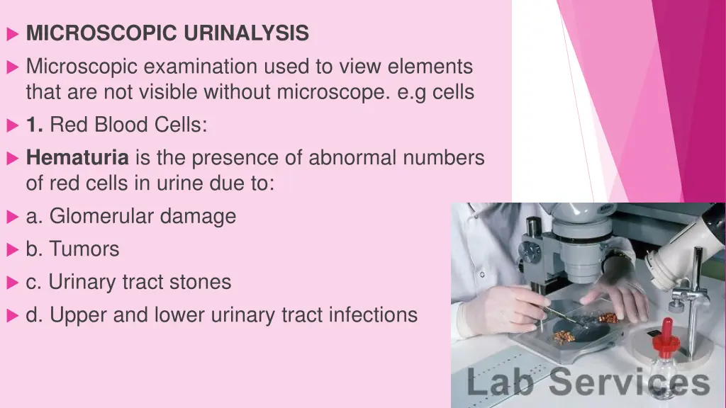 microscopic urinalysis microscopic examination