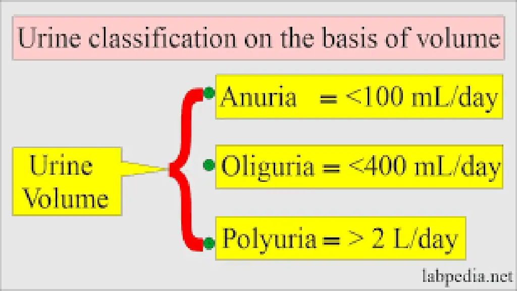 slide11