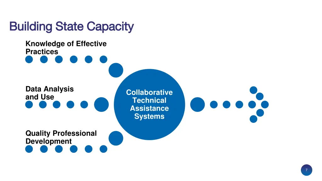 building state capacity building state capacity