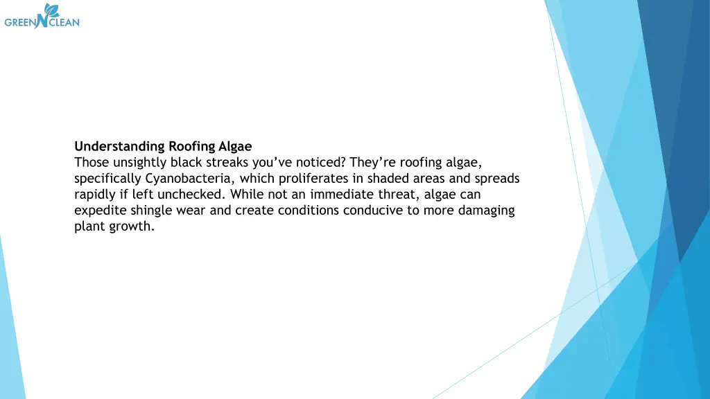 understanding roofing algae those unsightly black