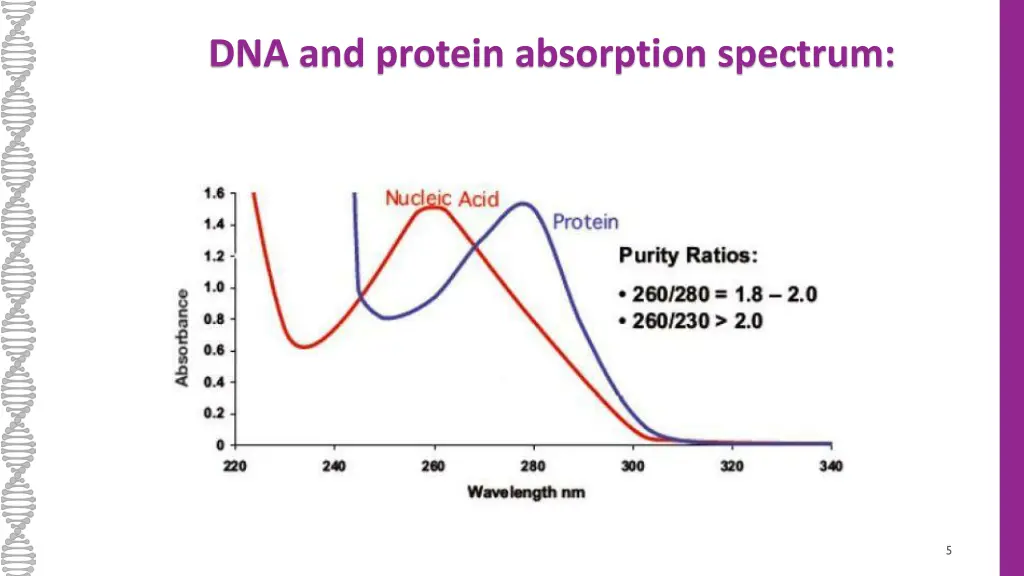 dna and protein absorption spectrum