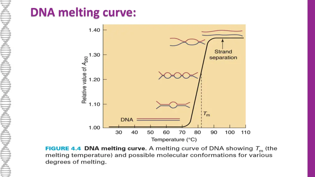 dna melting curve