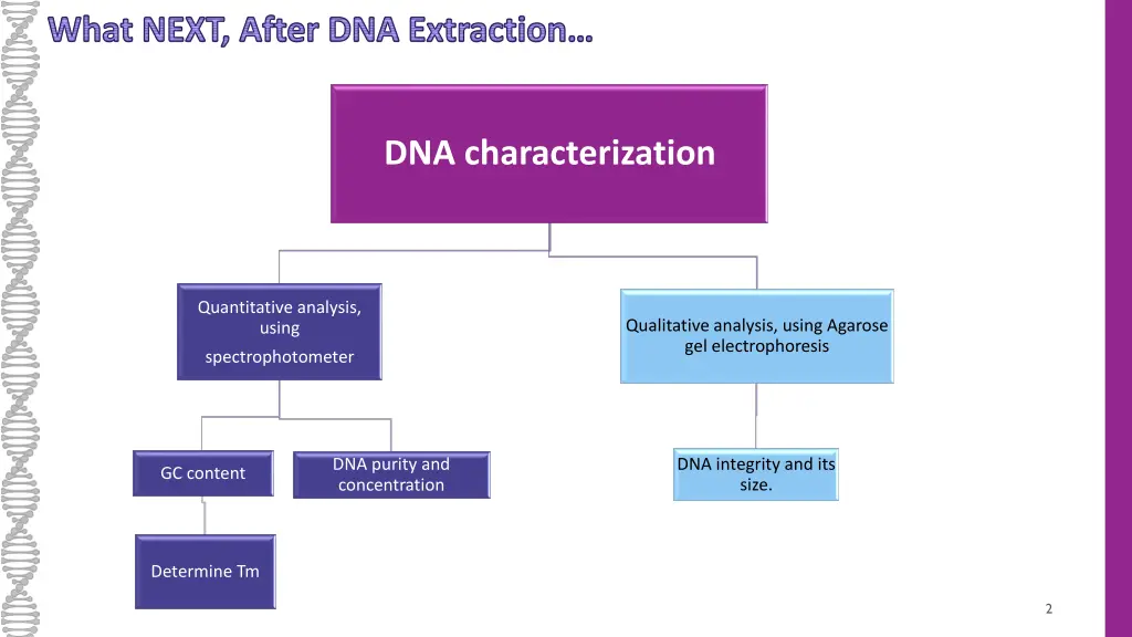 what next after dna extraction