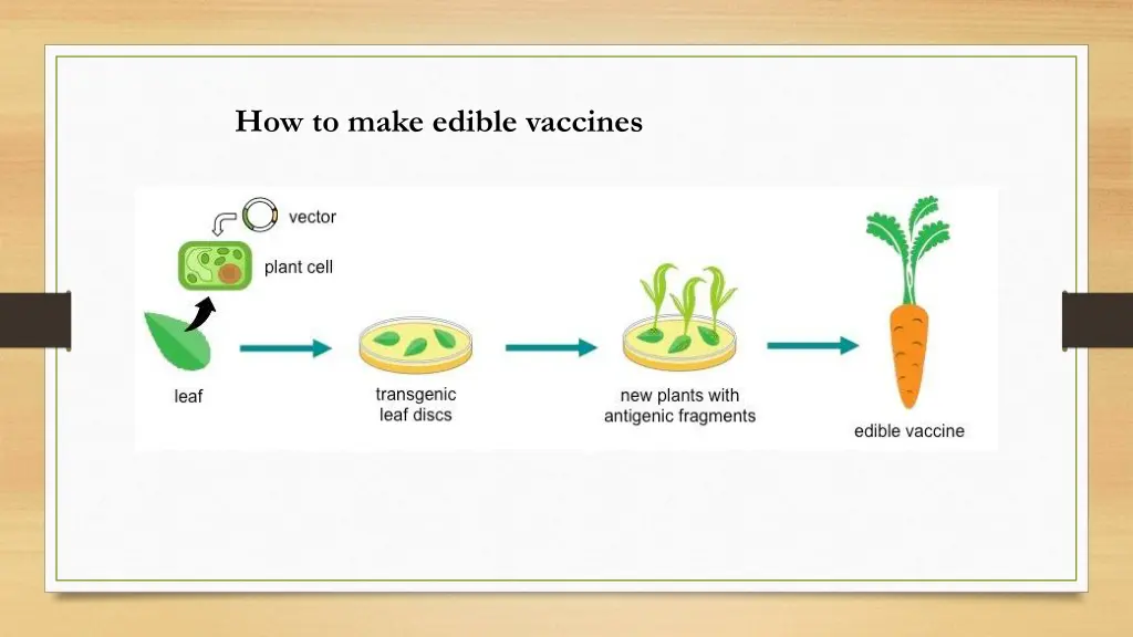 how to make edible vaccines