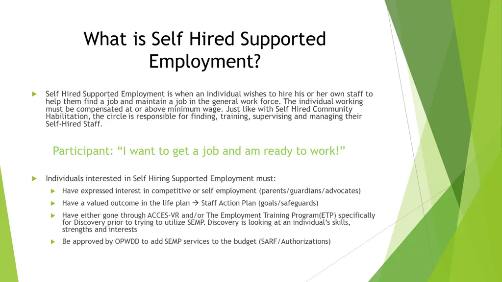 what is self hired supported employment