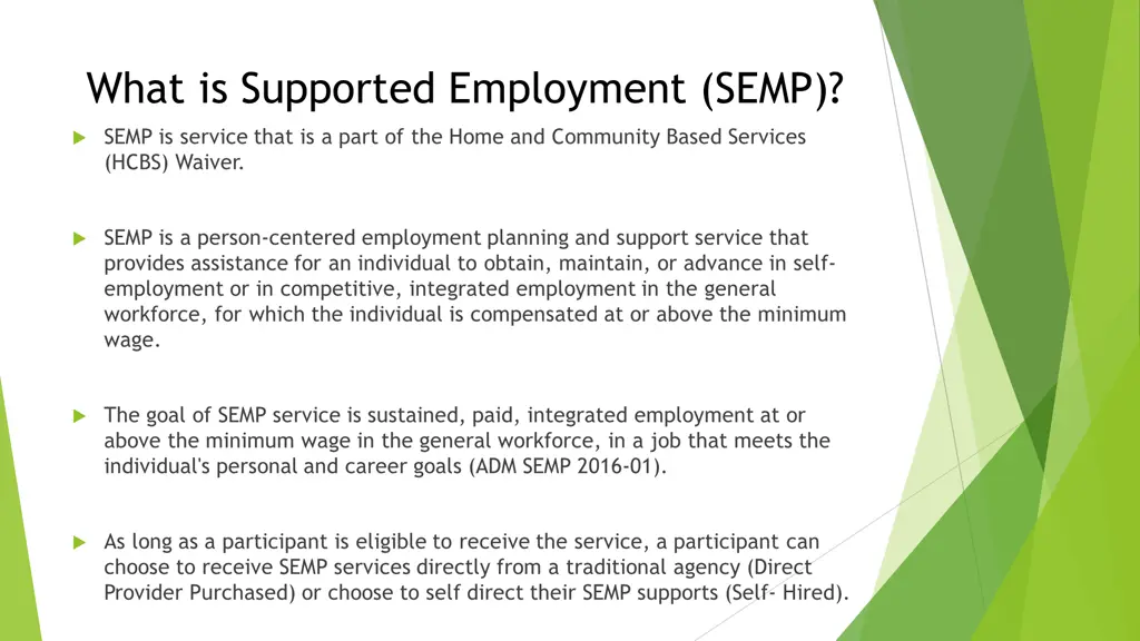 what is supported employment semp