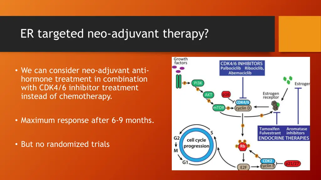 er targeted neo adjuvant therapy