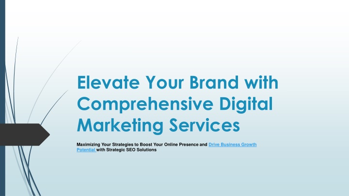 elevate your brand with comprehensive digital