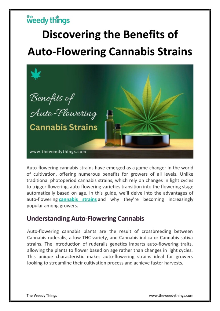 discovering the benefits of auto flowering