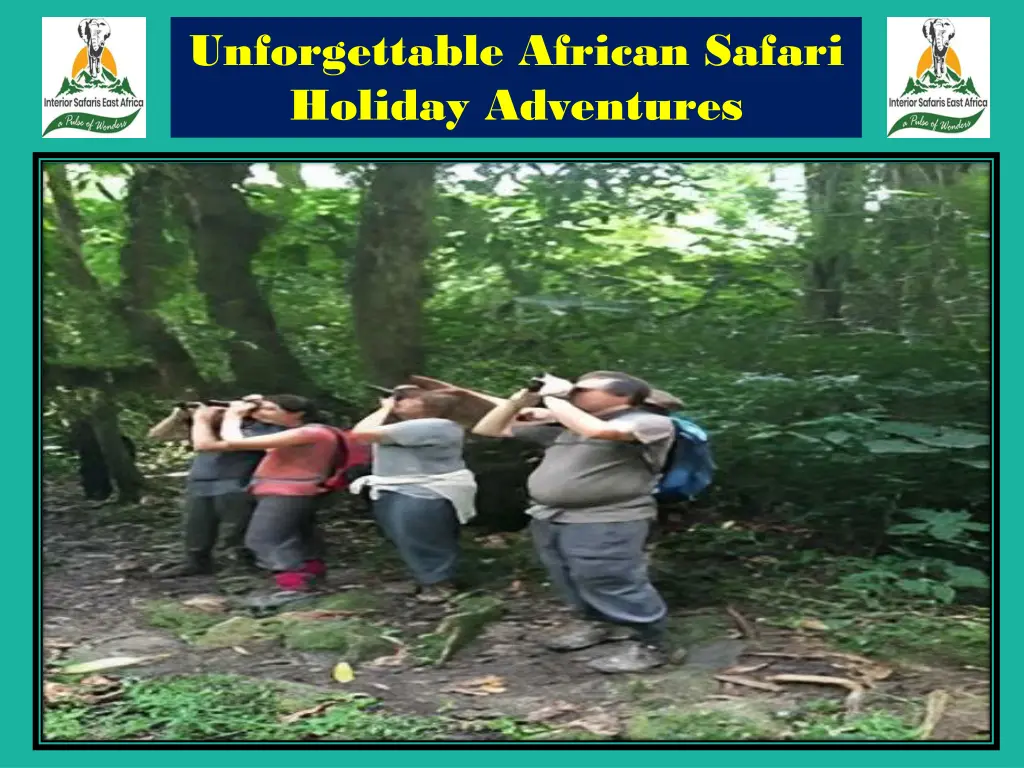 unforgettable african safari holiday adventures 1