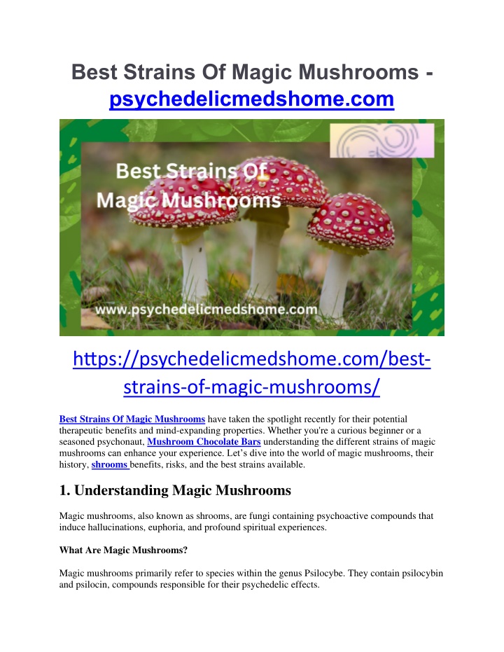 best strains of magic mushrooms