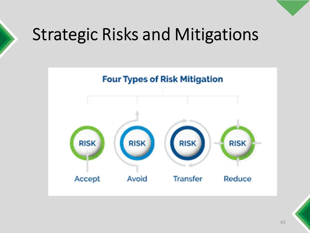 strategic risks and mitigations strategic risks