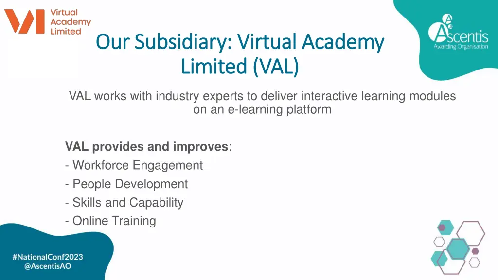 our subsidiary virtual academy our subsidiary