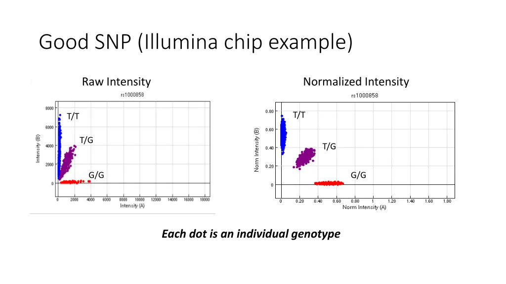 good snp illumina chip example