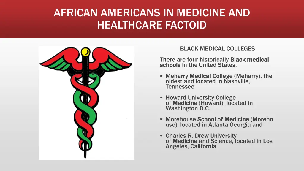 african americans in medicine and healthcare