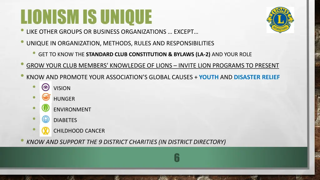 lionism is unique like other groups or business