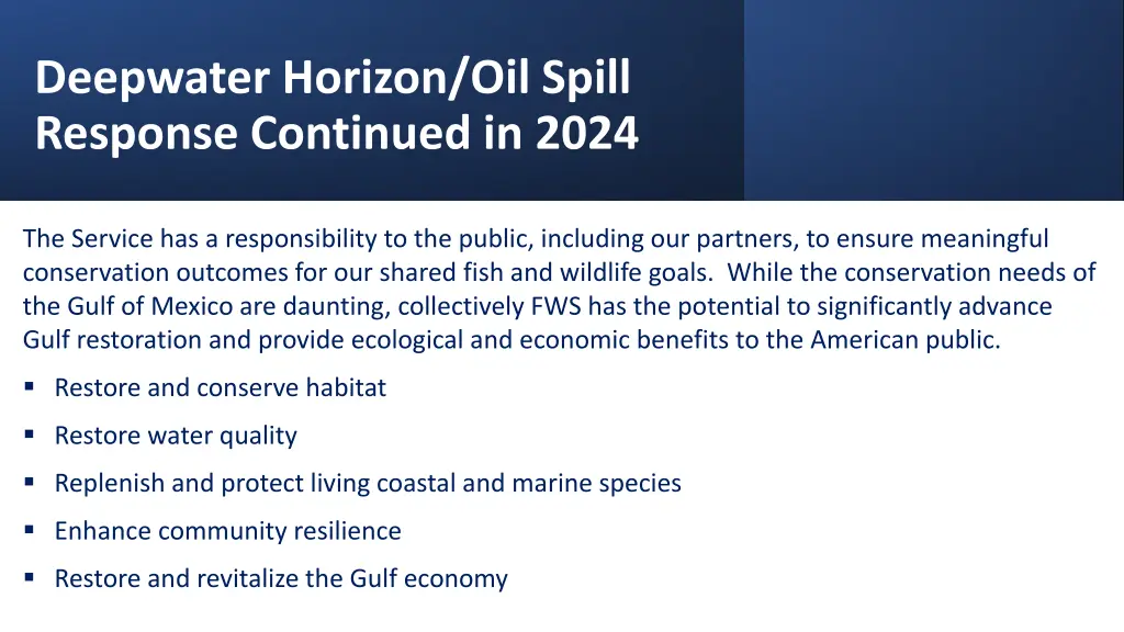 deepwater horizon oil spill response continued