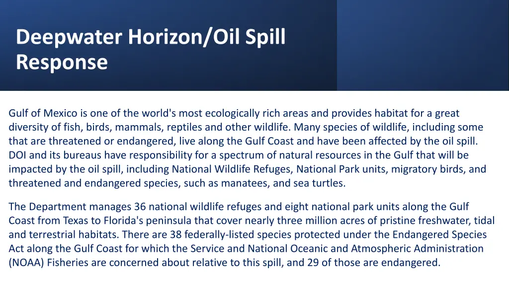 deepwater horizon oil spill response