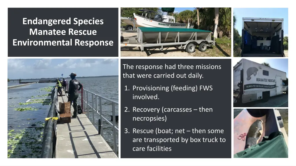 endangered species manatee rescue environmental