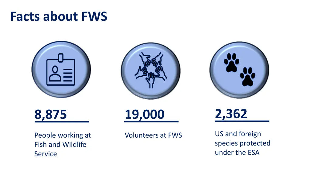 facts about fws