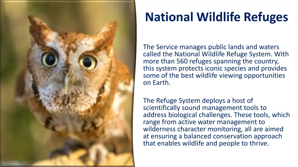 national wildlife refuges