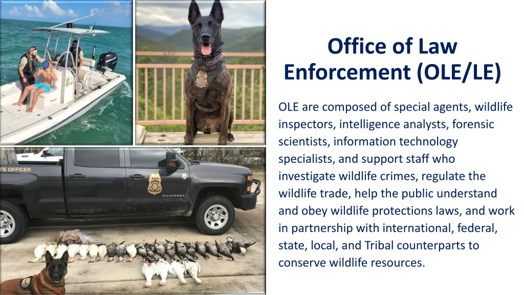 office of law enforcement ole le