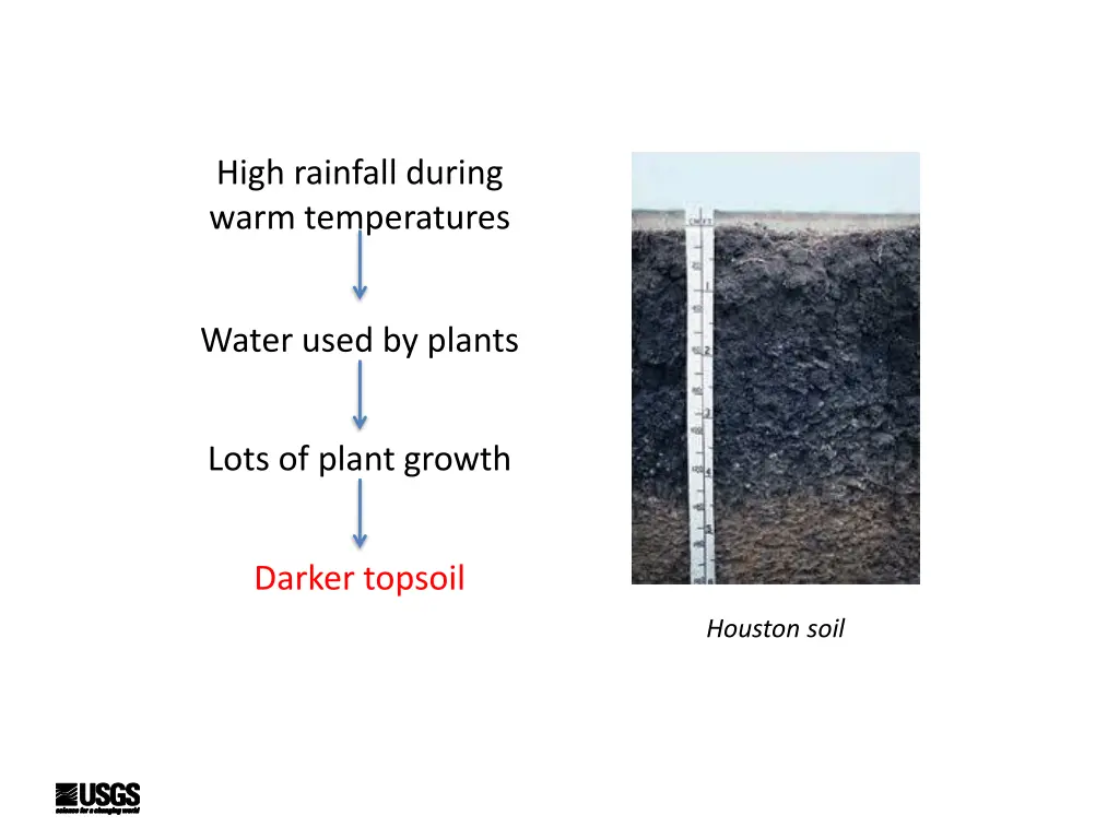 high rainfall during warm temperatures