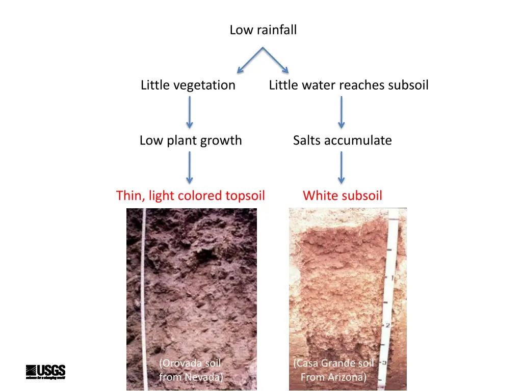 low rainfall